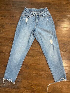 Old Navy High-Rise Curvy OG Straight Jeans Sz 2